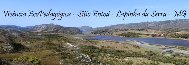 Vivencia_EcoPedagogica