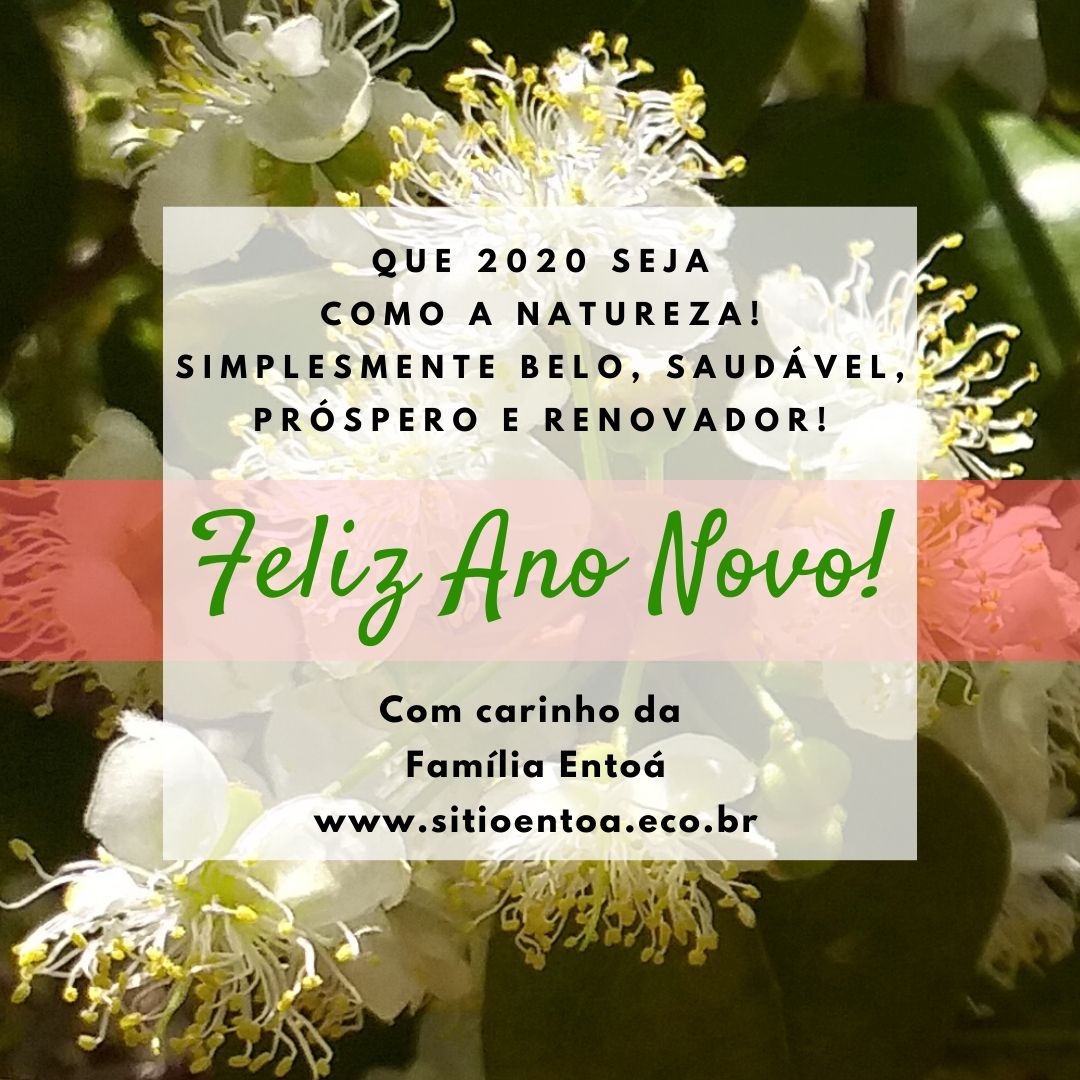 Que 2020 seja pleno como a natureza! incrivelmente belo e simplesmente próspero! (1)