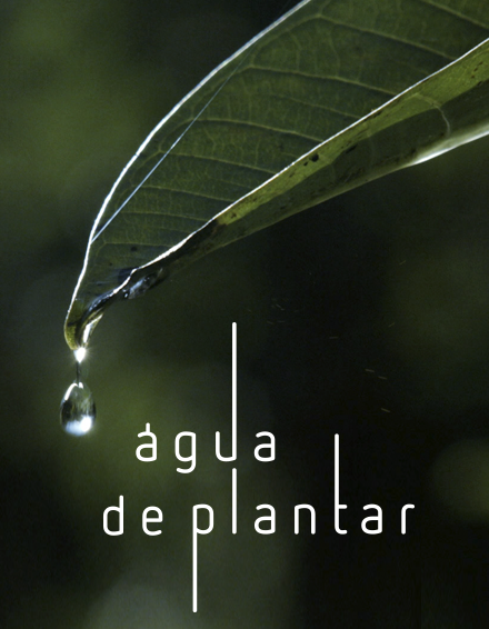 AguadePlantar